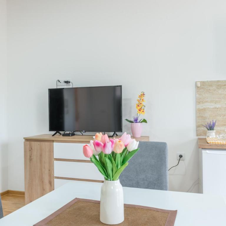 Apartmani Central 11 & Free parking - Apartman sa 1 Spavaćom Sobom - 5