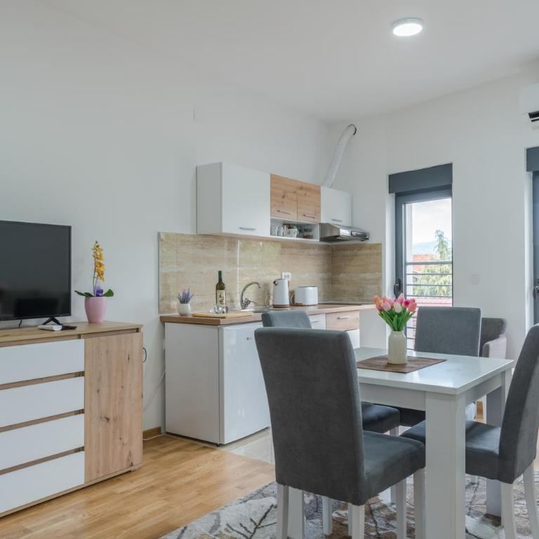 Apartmani Central 11 & Free parking - Apartman sa 1 Spavaćom Sobom - 3