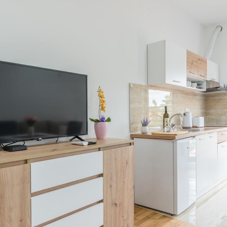 Apartmani Central 11 & Free parking - Apartman sa 1 Spavaćom Sobom - 10
