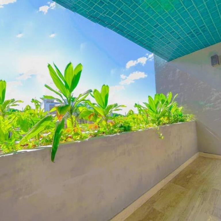 Estudio céntrico entre Av. 10 y 5ta Av. - One-Bedroom Apartment - 17