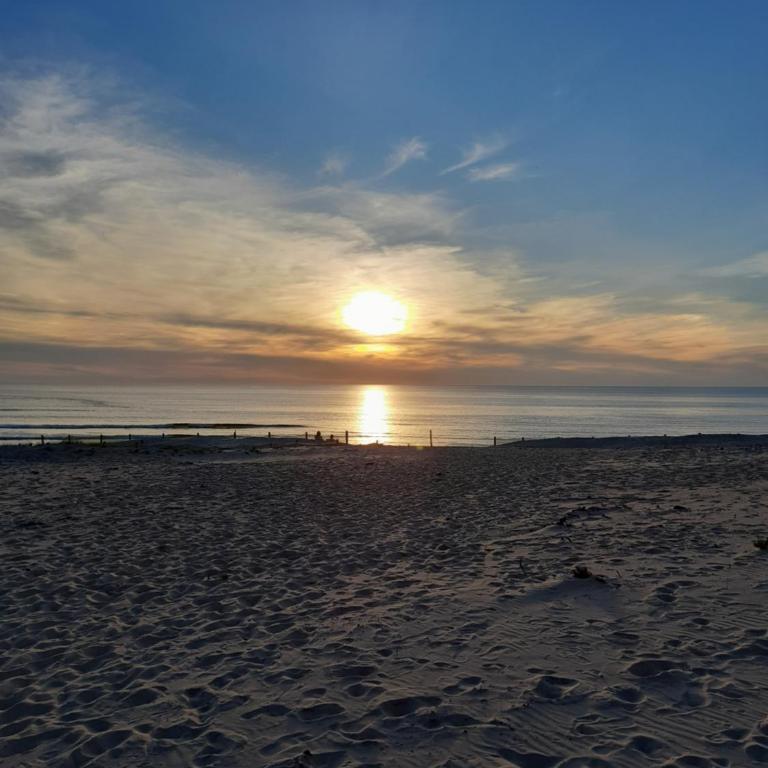 Studio Mimizan plage bord du courant en RDC - Appartement 1 Chambre - 1