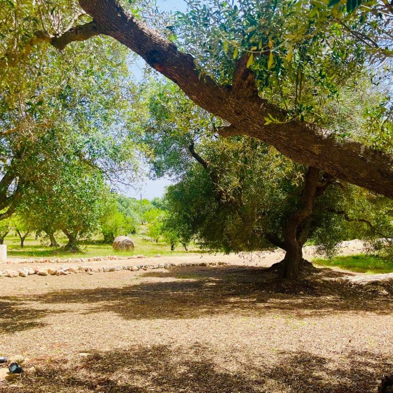 Dimora Bianchemura - Villa con 3 Camere da Letto - 46