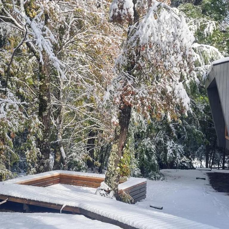 Refugio Piren , Corralco, Conguillio y Hot Tub - Chalet - 6