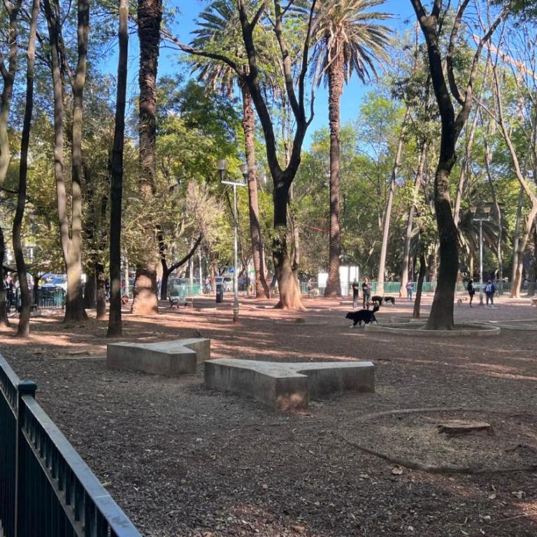 Condesa Residence Campeche 11 Exceptional 2BR, 1BA Apartment with Grand Living Space - Two-Bedroom Apartment - 6