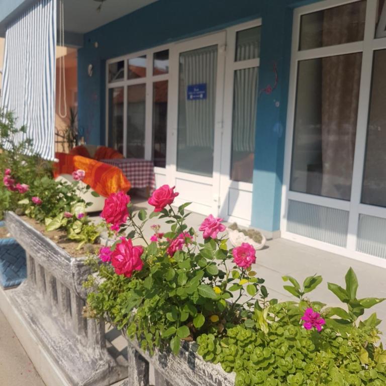 Adnna Home - Two-Bedroom Apartment - 4