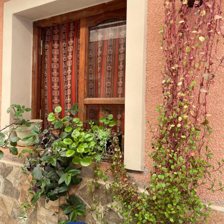 Los Alamos - Apartamento de 1 dormitorio - 8