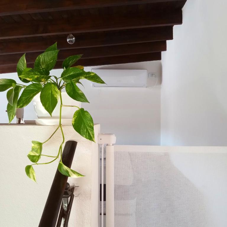 El comienzo - One-Bedroom Apartment - 5