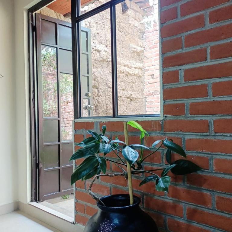 Casa Flor de Vida - Junior Suite - 7