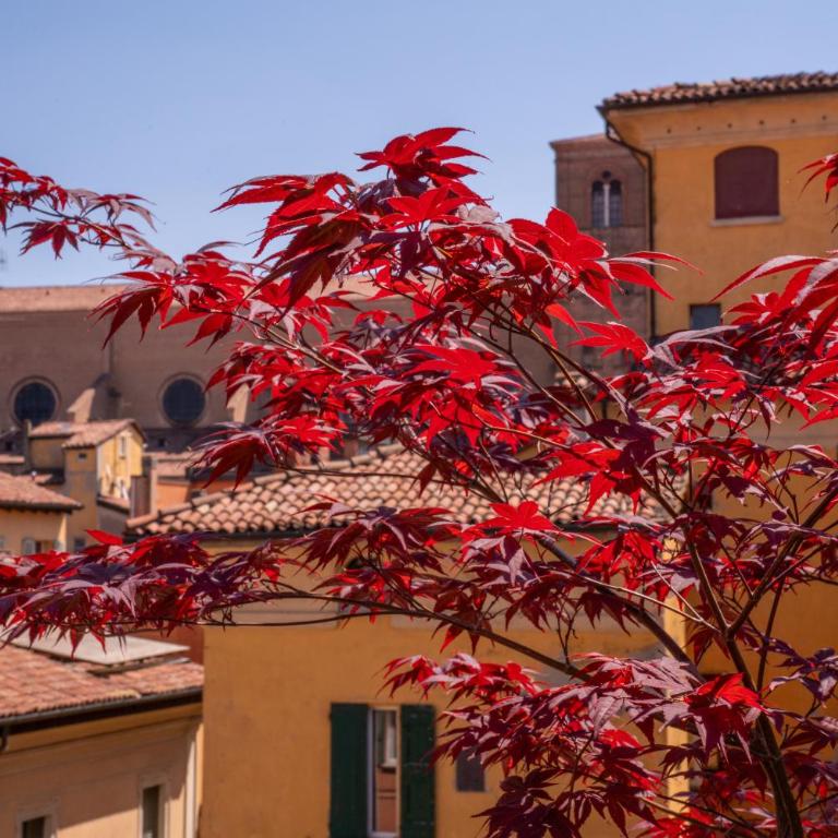 Piazza Maggiore Santa Margherita Rooms - Queen Room with Balcony - 24