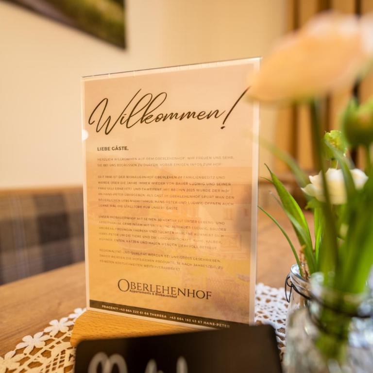 Oberlehenhof - Apartment mit 2 Schlafzimmern (4 Erwachsene) - 8