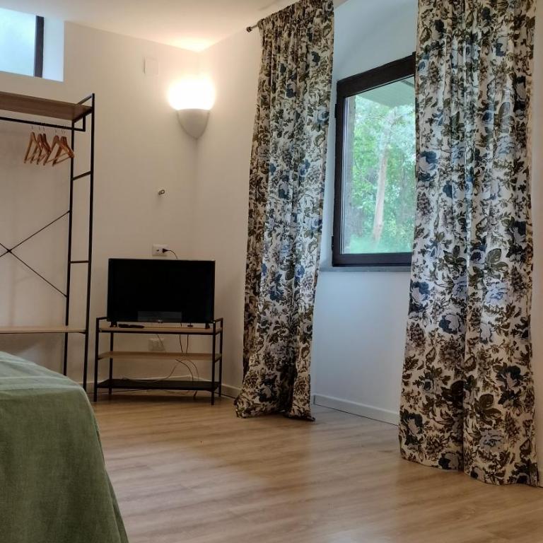 San Renato house - Appartamento - Piano Terra - 8