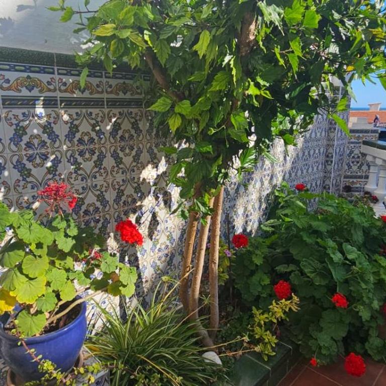 Casa San José - Casa de 3 dormitorios - 20