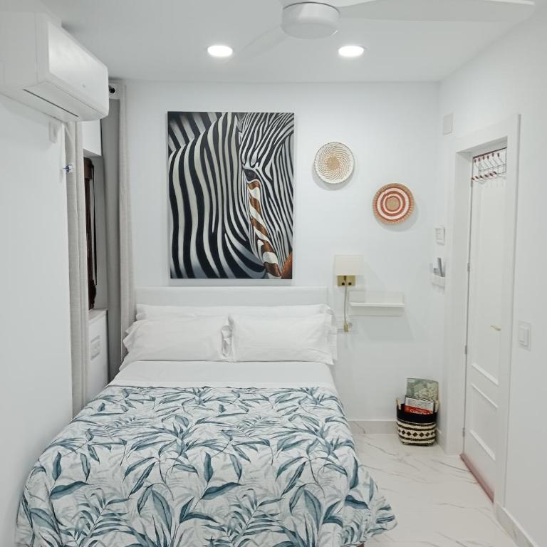Moneiba Centro - Habitación Doble con baño privado - 11