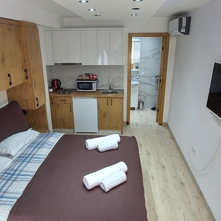 Villa Berta Tuzla - 102 Superior Studio Apartment - Free Private Secured Parking - Deluks Studio sa Bračnim Krevetom (King-size) - 5