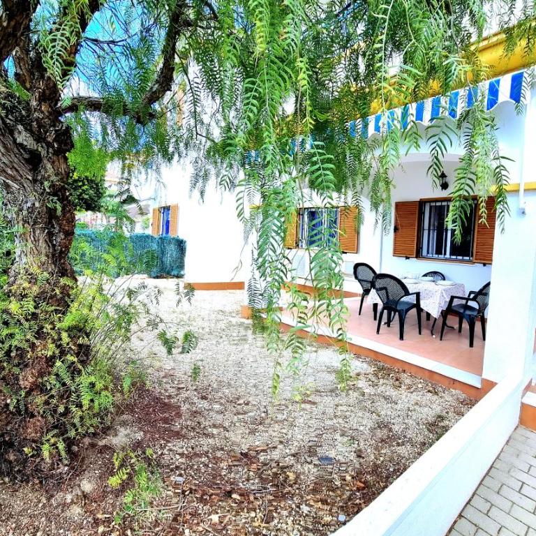 Apartamento en planta baja Veramar 5 primera línea de playa - Apartamento de 2 dormitorios - 3