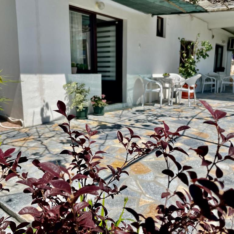 Apartments Marina - Apartment with Terrace - 2