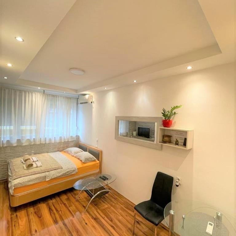 Welcome To Our Easygoing Apartment - Apartman sa 1 Spavaćom Sobom - 7