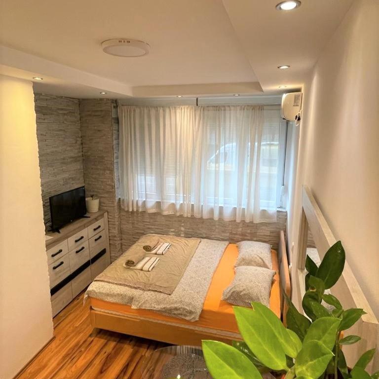 Welcome To Our Easygoing Apartment - Apartman sa 1 Spavaćom Sobom - 10