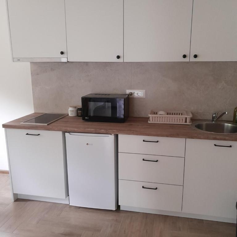 Apartmani Radmanovic - One-Bedroom Apartment - 5