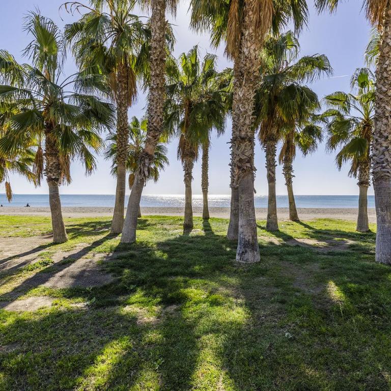 A&N Beachfront Terrace Living Torre del Mar - Apartamento con vistas - 48