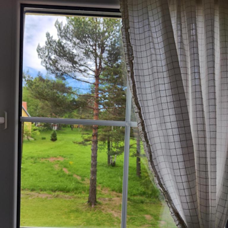 Vila Priroda Divčibare - Apartman sa 1 Spavaćom Sobom - 4