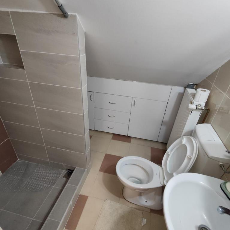 Vila Priroda Divčibare - Apartman sa 1 Spavaćom Sobom - 5