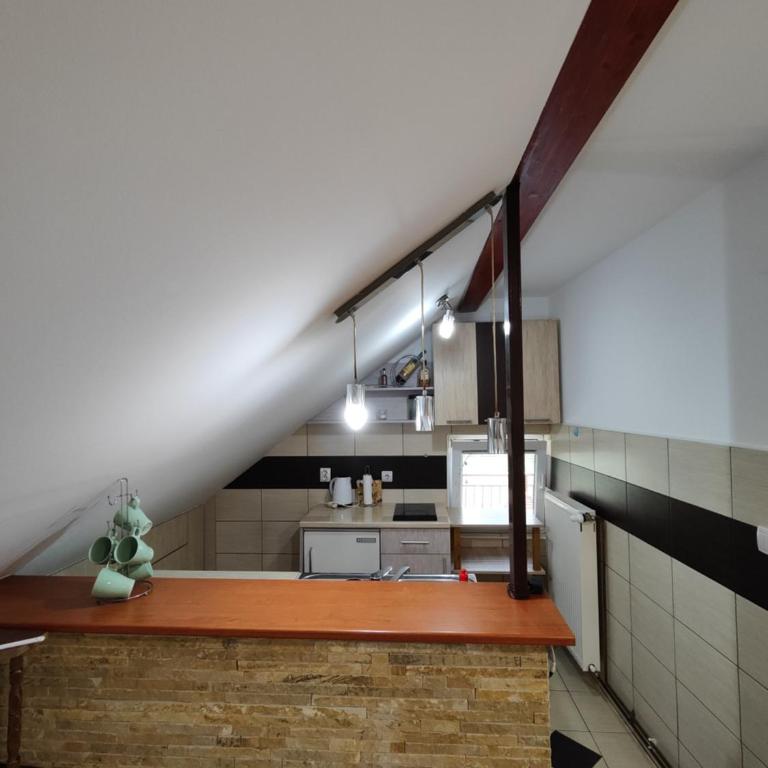 Vila Priroda Divčibare - Apartman sa 1 Spavaćom Sobom - 9