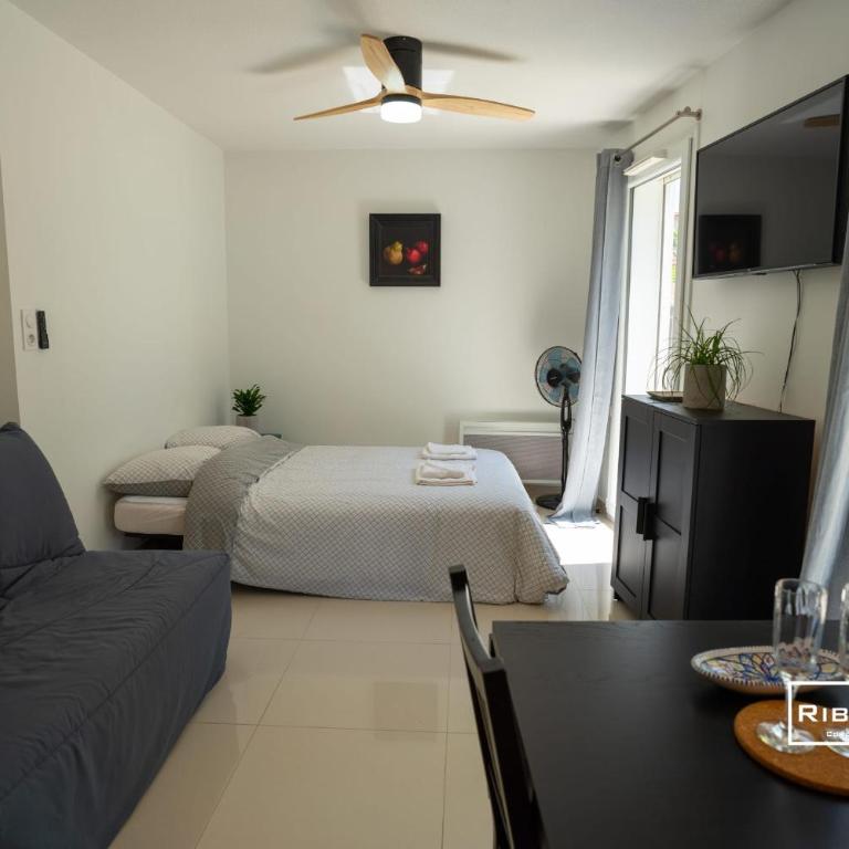 Riboleys -Superbe T1 à 100m de la plage - Appartement 1 Chambre - 6
