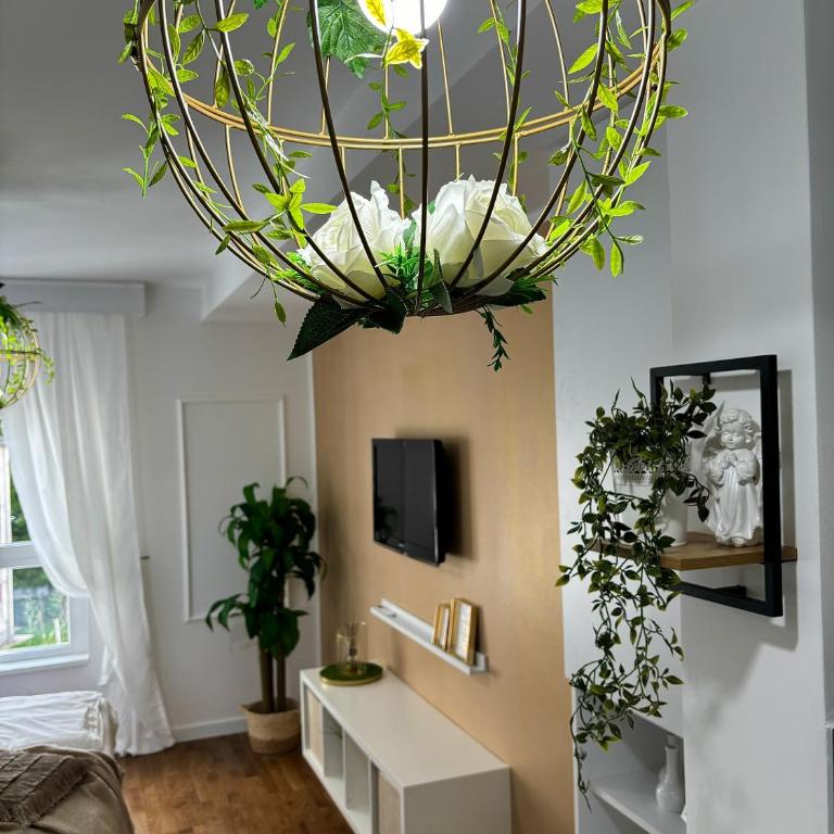 Apartman Vanila Lux Kragujevac - One-Bedroom Apartment - 6