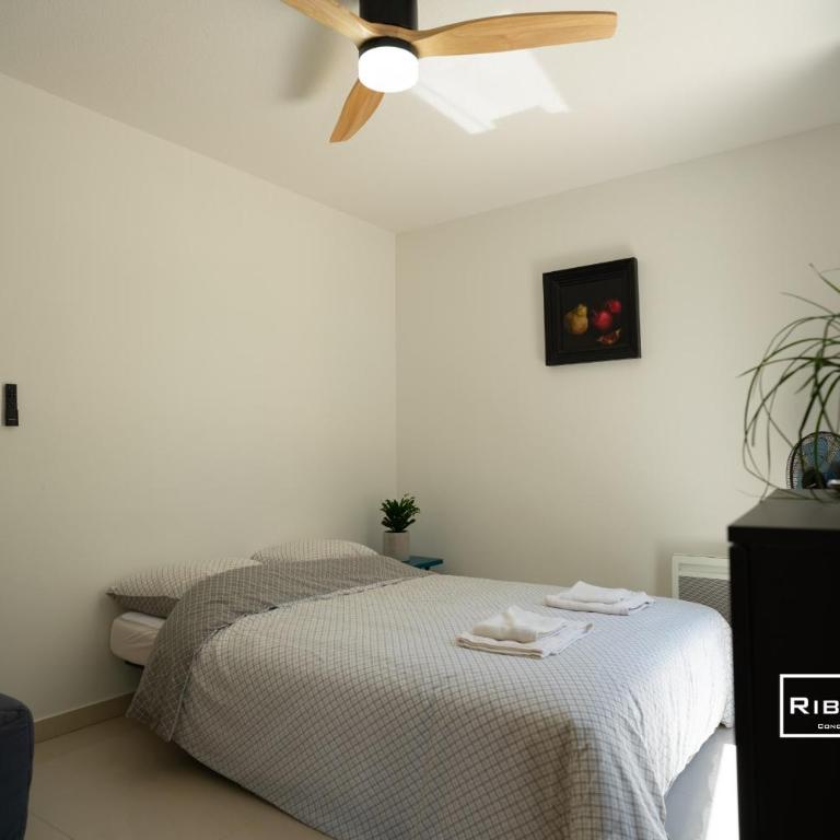 Riboleys -Superbe T1 à 100m de la plage - Appartement 1 Chambre - 11