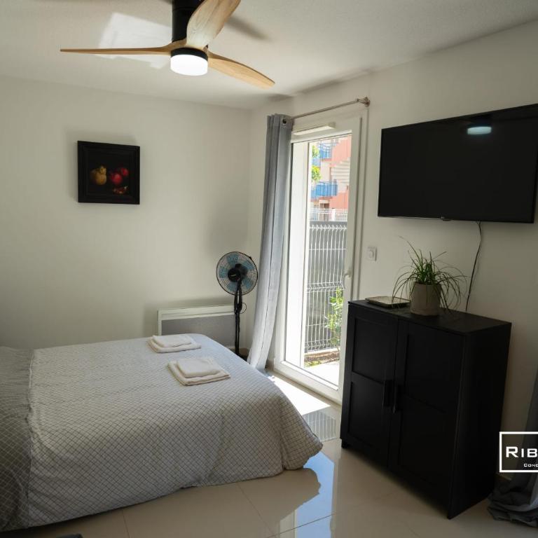 Riboleys -Superbe T1 à 100m de la plage - Appartement 1 Chambre - 10