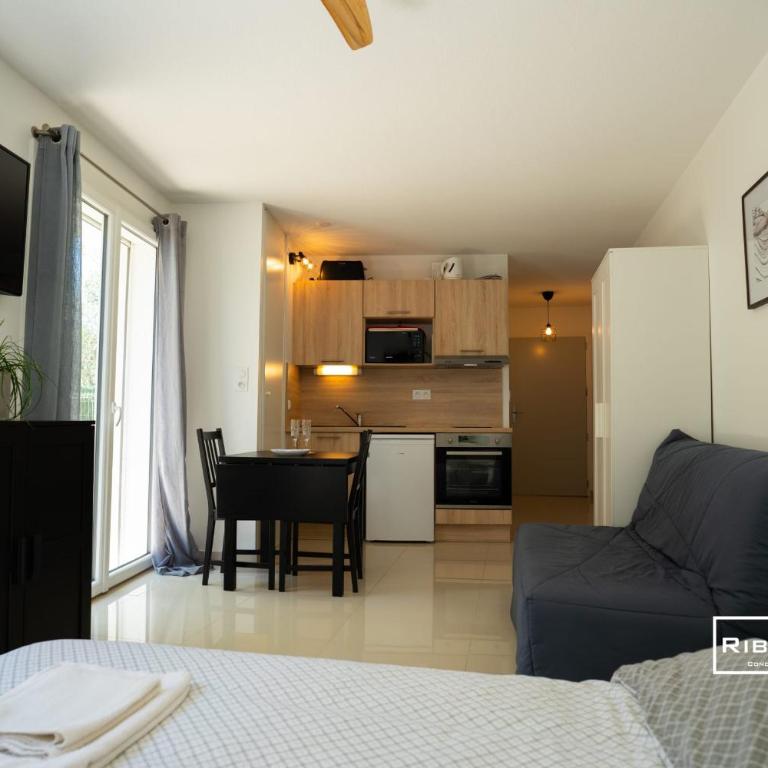 Riboleys -Superbe T1 à 100m de la plage - Appartement 1 Chambre - 3