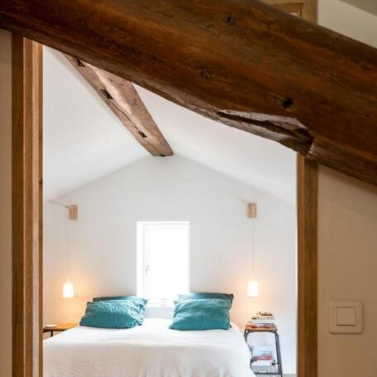 Le Duplex - Amazing flat overlooking the rooftops of Lyon - Appartement - 14