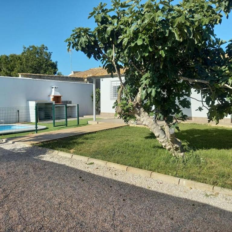Mi Huerto, Casa con piscina, en la Barrosa - Casa de 2 dormitorios - 14