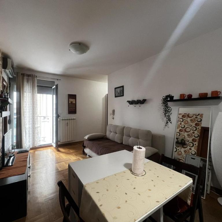 Family Rakic Apartment - Studio Apartman - 9
