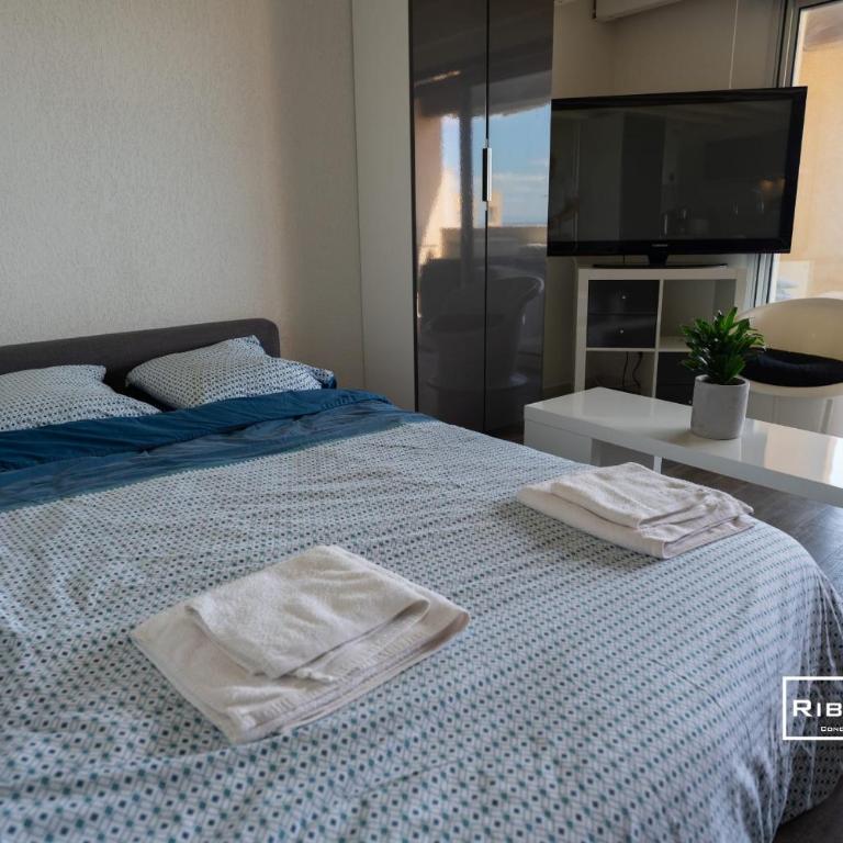Riboleys - T2 climatisé avec piscine face à la mer - Appartement - 13