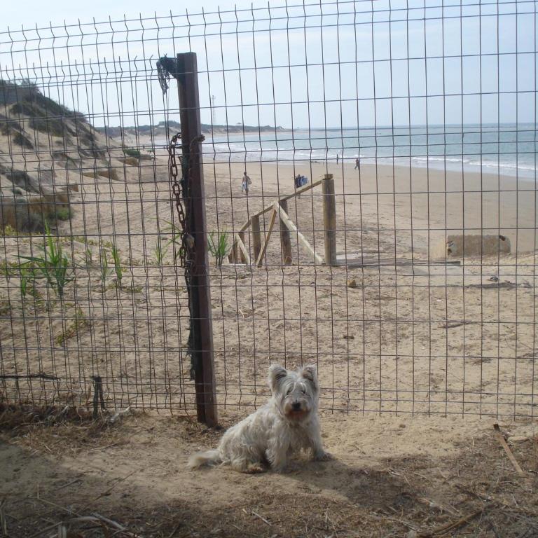 En Finca Las Dunas dos Chalets con jacuzzis en primera linea de playa , uno de 4 dormitorios y otro de 2 dormitorios, Llama al Seiscientos veintisiete Cuatrocientos diecisiete Trescientos noventa y ocho - Bungalow frente a la playa - 25