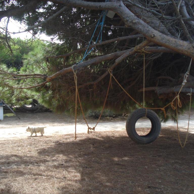 En Finca Las Dunas dos Chalets con jacuzzis en primera linea de playa , uno de 4 dormitorios y otro de 2 dormitorios, Llama al Seiscientos veintisiete Cuatrocientos diecisiete Trescientos noventa y ocho - Bungalow frente a la playa - 20