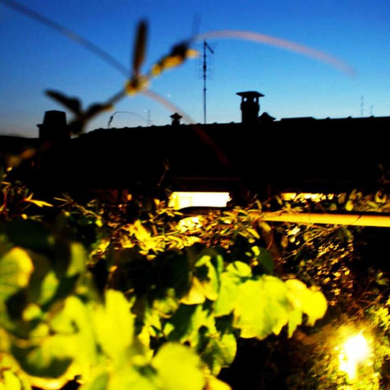 Rome Center Attic Penthouse - Appartamento con Terrazza - 1