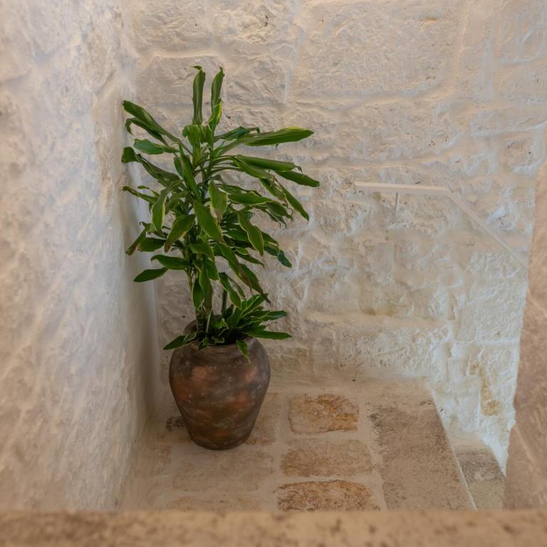 Mestru Rafeli Art - One-Bedroom House - 34