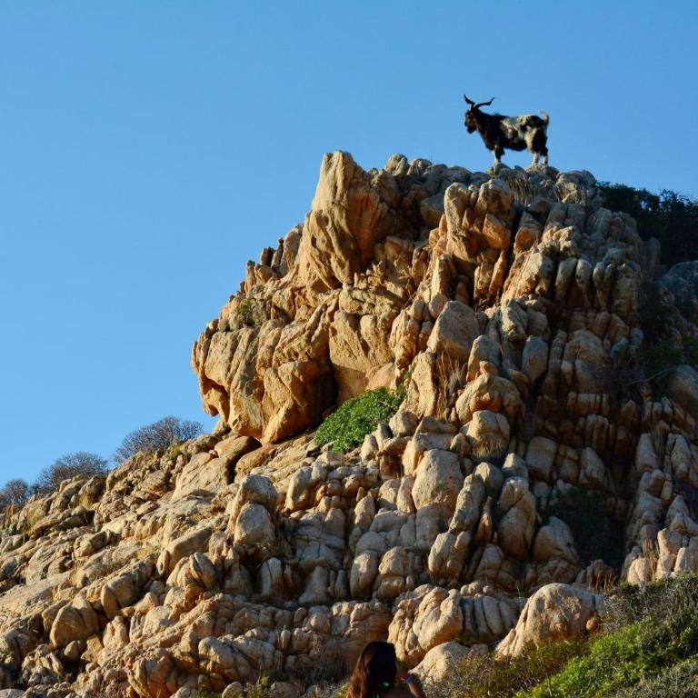 Le Isole di San Teo - Camera Matrimoniale con Terrazza - 19