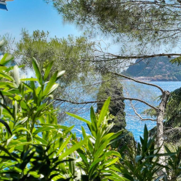 Le Greg - Terrasse - Parking - VCA - Appartement 1 Chambre - 5