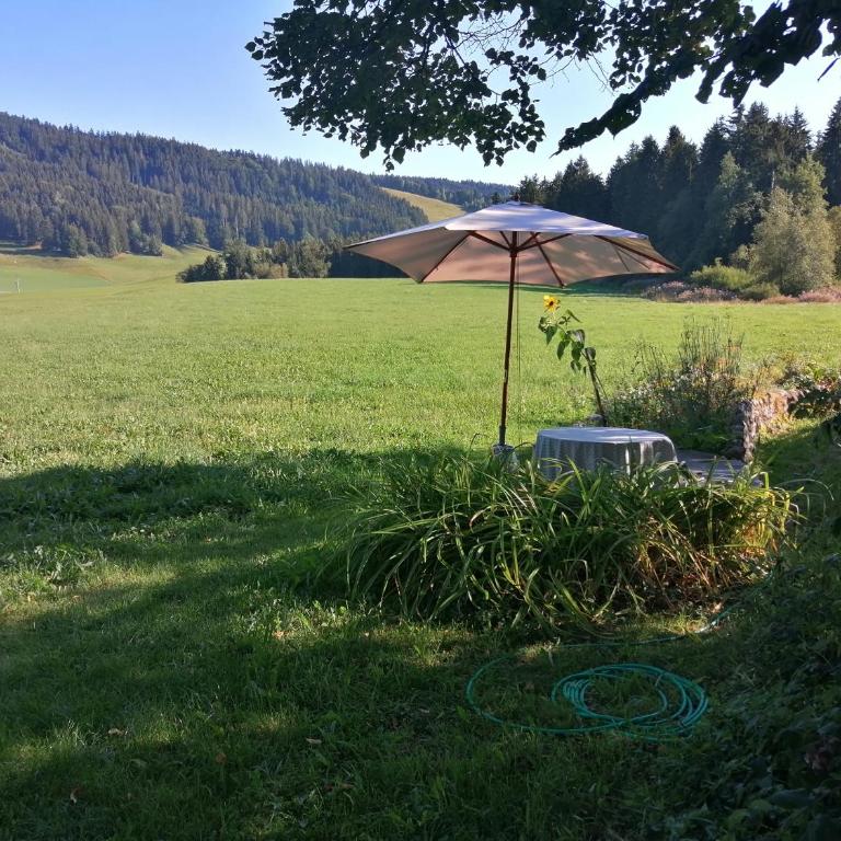 Neueröffnung, 2 wunderschöne Ferienwohnungen im Grünen - Apartment mit 1 Schlafzimmer - 1