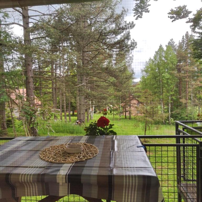 Vila Priroda Divčibare - Apartman - 11