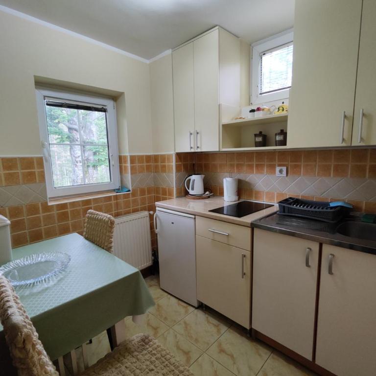 Vila Priroda Divčibare - Apartman - 4