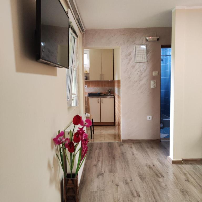 Vila Priroda Divčibare - Apartman - 9