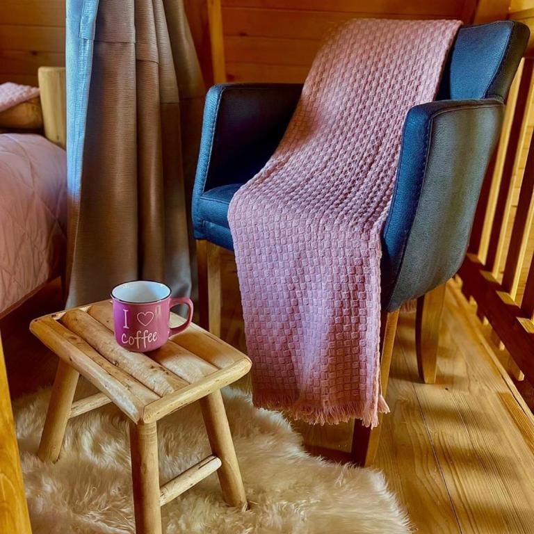 A Frame Houses ANS Zabljak - One-Bedroom House - 14