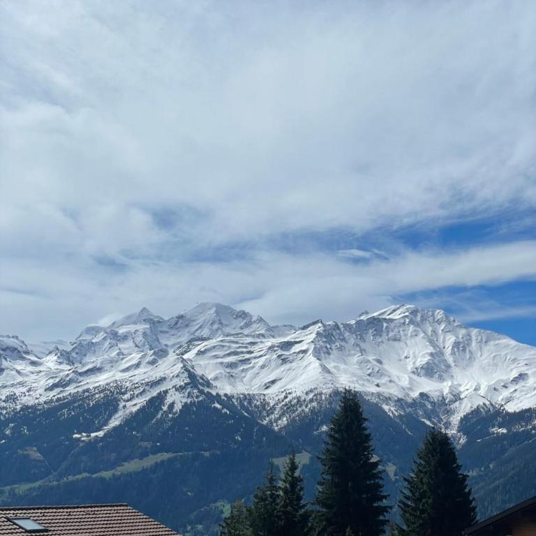 Verbier Luxury Apartment - Newly Renovated - 4 Guests - Two-Bedroom Apartment with Mountain View - 17