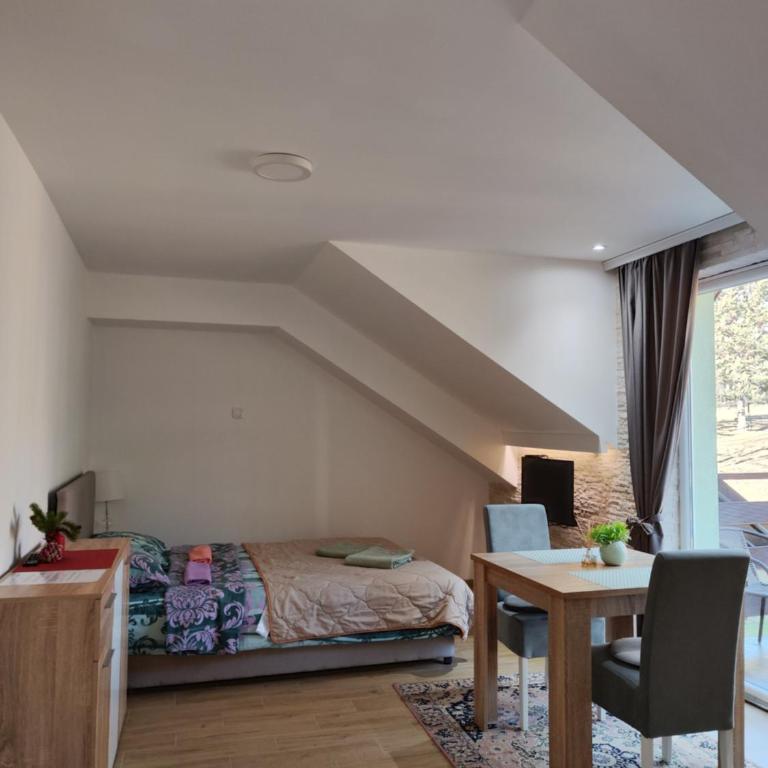 Vila Priroda Divčibare - Studio - 5