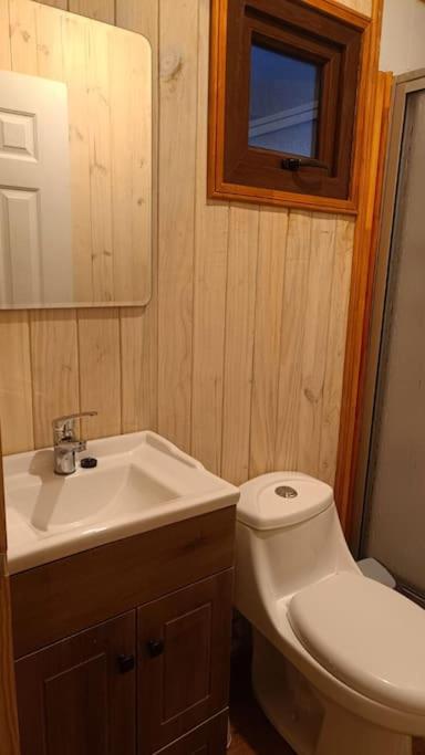 Refugio Natural en Malalcahuello - One-Bedroom Chalet - 6